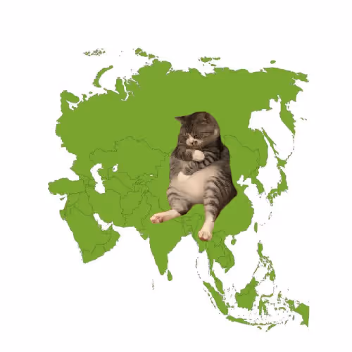 Dontfomeow のロゴ