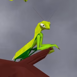 Bug Wars: Kards #5
