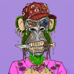 24