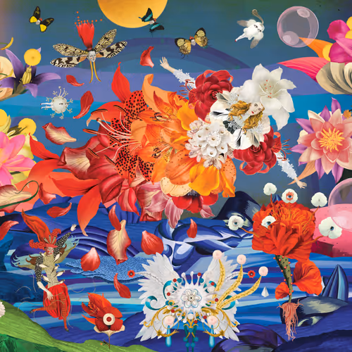 The Flower Girls Voyage To Venus