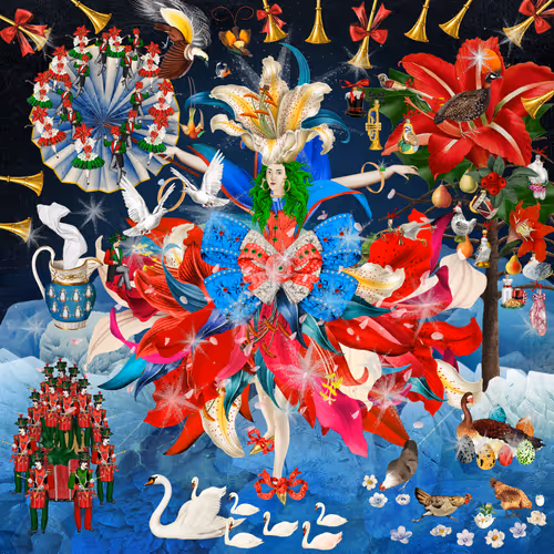 The Flower Girls Voyage To Venus