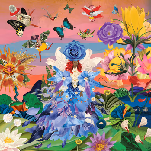 The Flower Girls Voyage To Venus