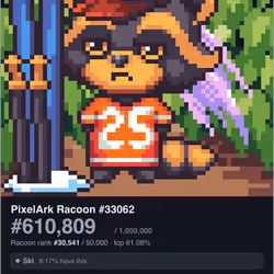 29249