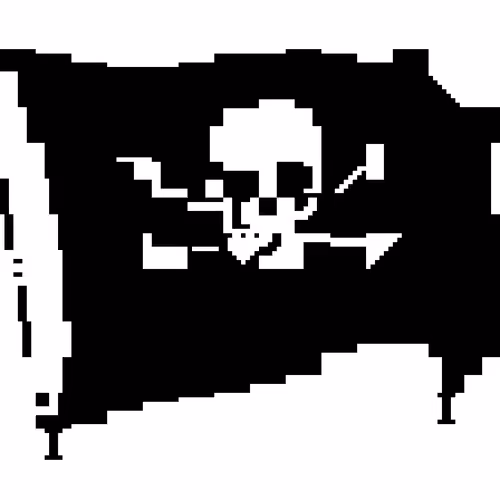 🏴‍☠️⁶