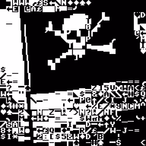 🏴‍☠️