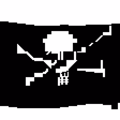 🏴‍☠️⁹