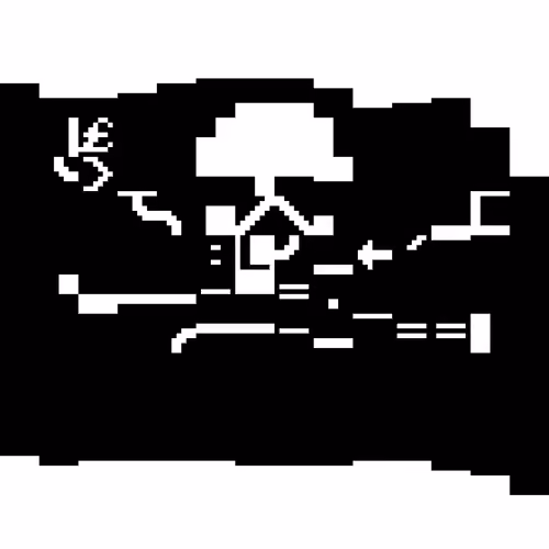 🏴‍☠️₁₂