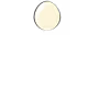 1v1zze