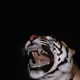 82