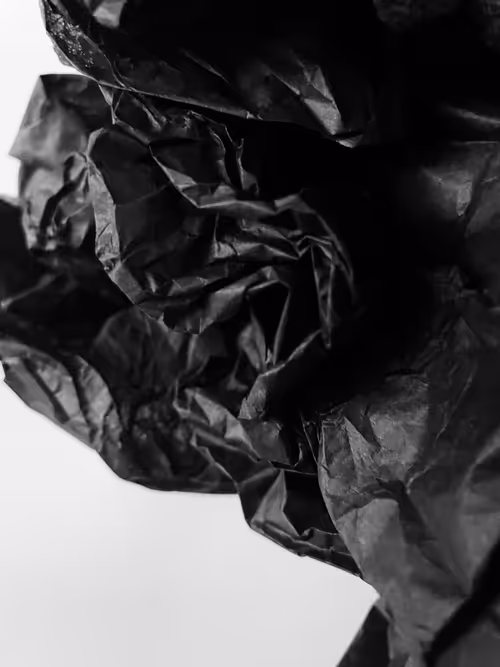 Item #48 Media