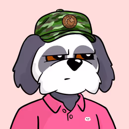 Bodoggos 6