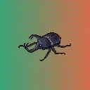 Rodeo Posts 10917