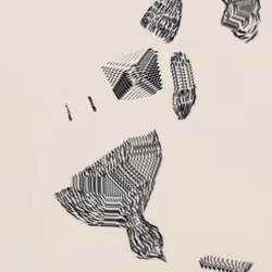 80