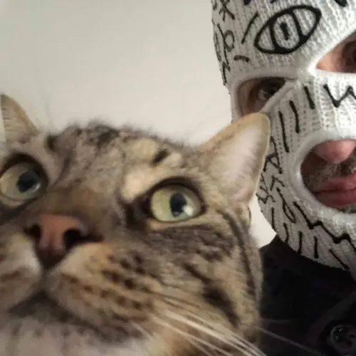 Bully Meow