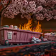 trash blossoms under a dying sun