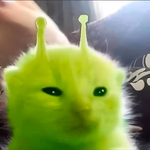 Alien Garut