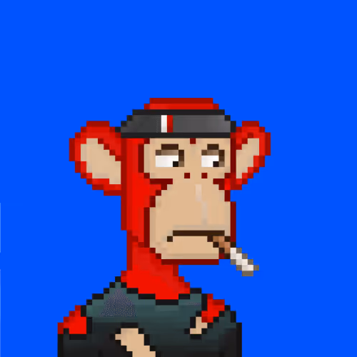 Base Ape Yacht Club 