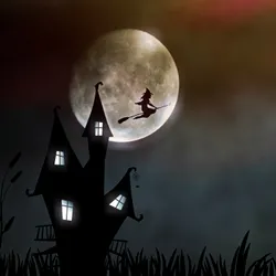 Witch'S House #29