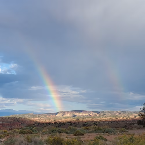 Covenant #23