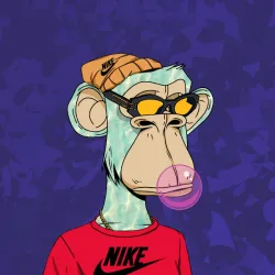55