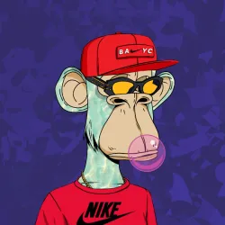 278