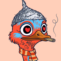 Head Ducks #98