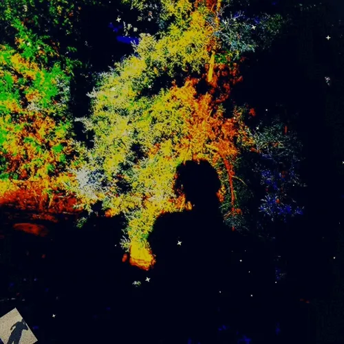 -SHADOWS- SERIALS #14.1 DIGITAL NFT .GIF BY GEORGE KEY WHOM