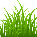 grass