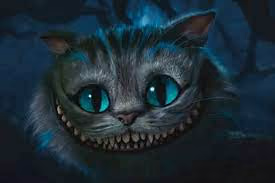 Alice cat