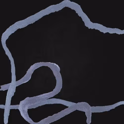 #41