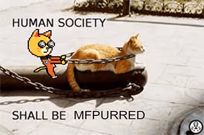 PURR memes  2