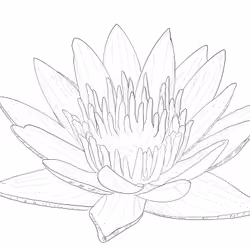 Beauty Tattoo Stencil Flower 7