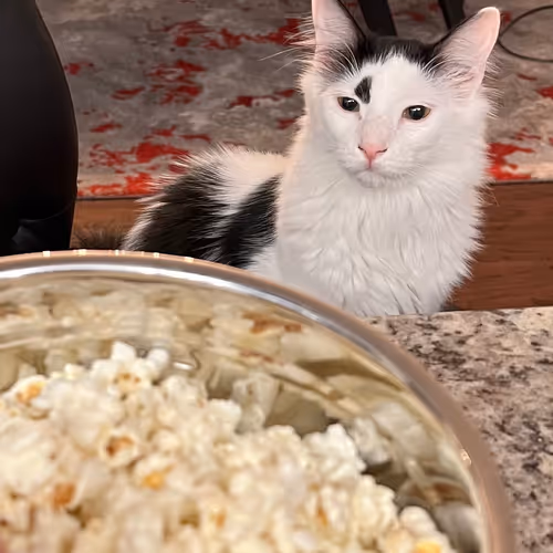 He Want Popcorn
