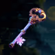 Chronicle 1: Key