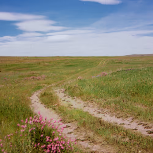 Eamons Photos Friendtech Editions