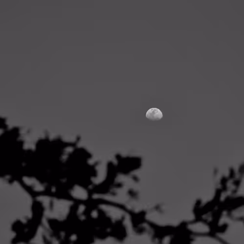 Wen moon?