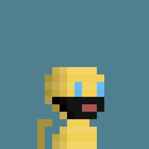 Chimchimp  #377