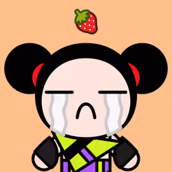 Pucca World #4291