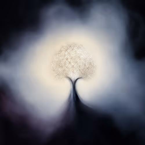 Numina Lucis: The Conscious Codex