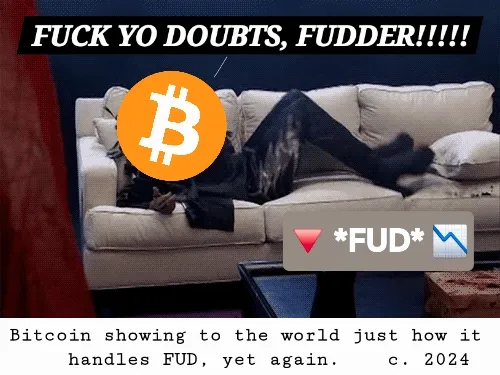 BTC stomps bullsh** outta FUD w/ bull market