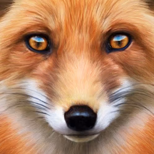 Fox 432
