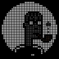 242