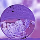 Purple Sphere