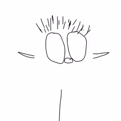 122