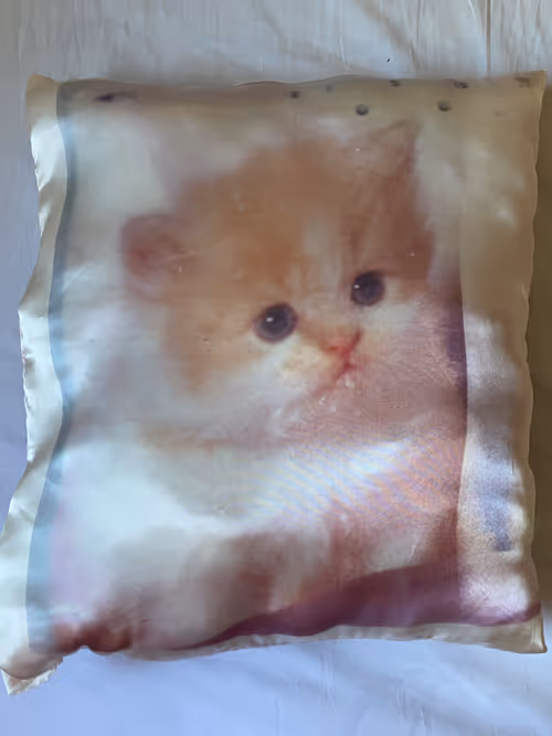 Item #50 Media