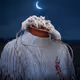 The Nocturnal Visitors