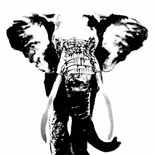 Elephant Ink #1