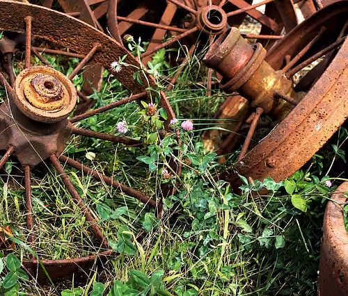 po[