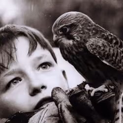 Kes 2 (Barry Hines)