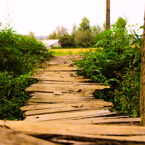The Bridge 21